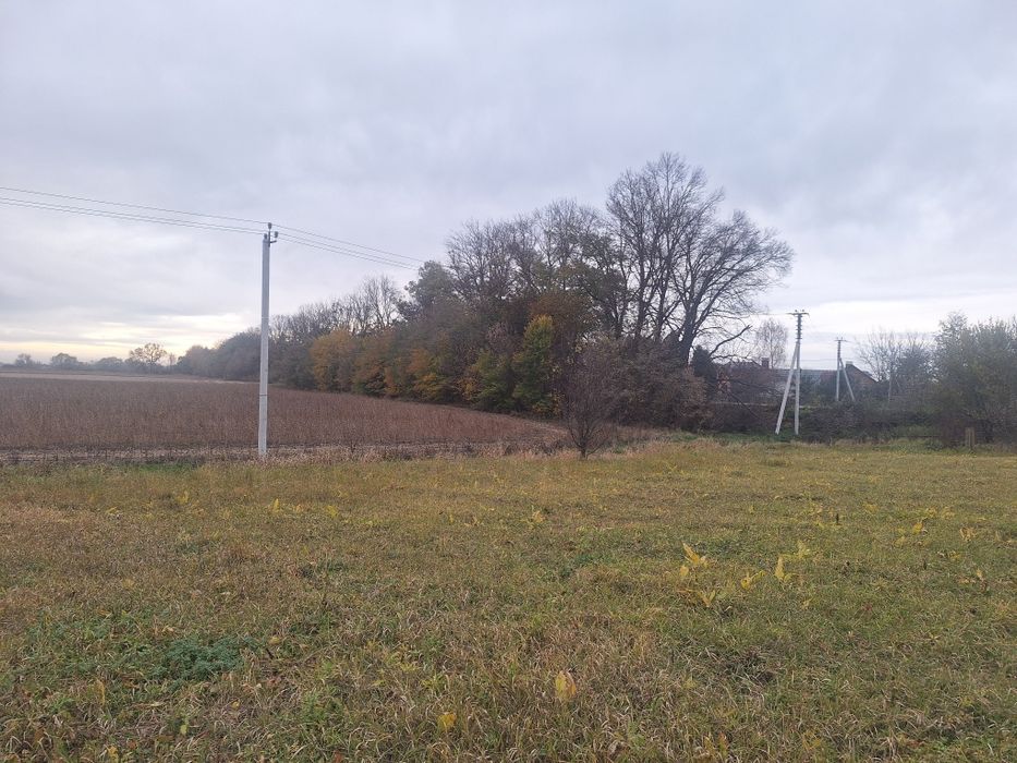 Земельна ділянка с.Берегомет траса на Івано-Франківськ