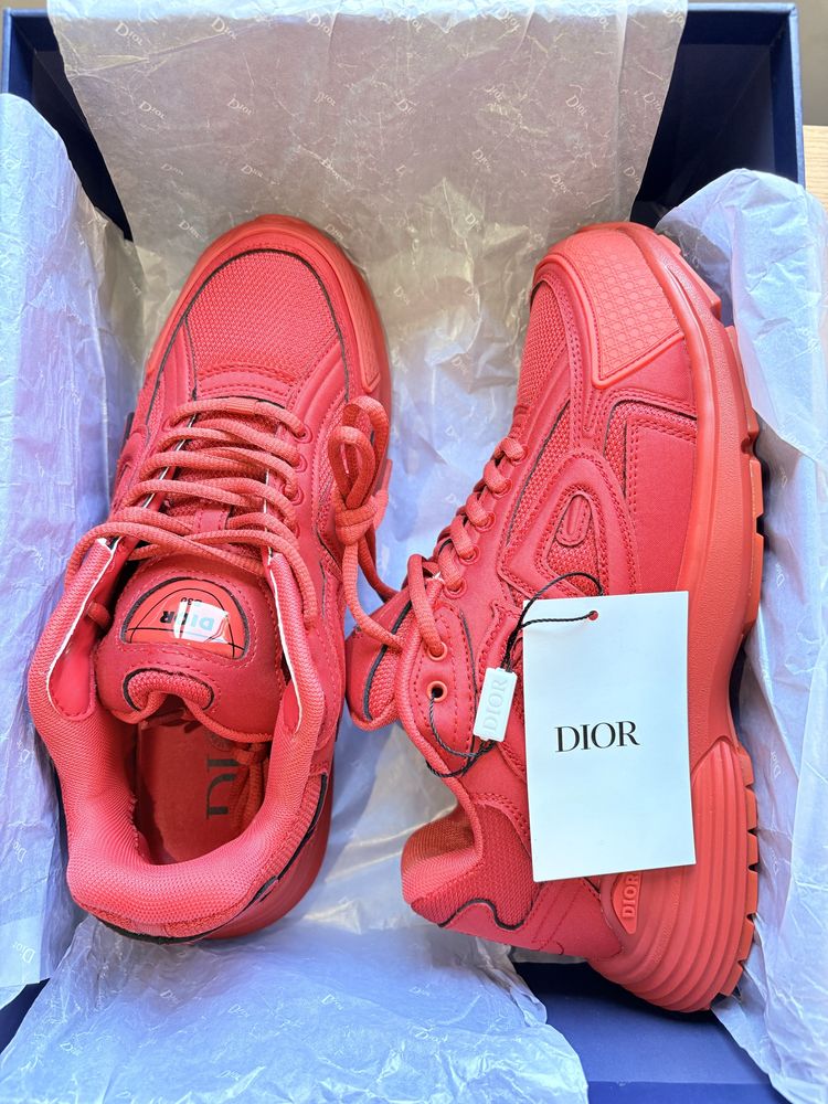 Dior stone island