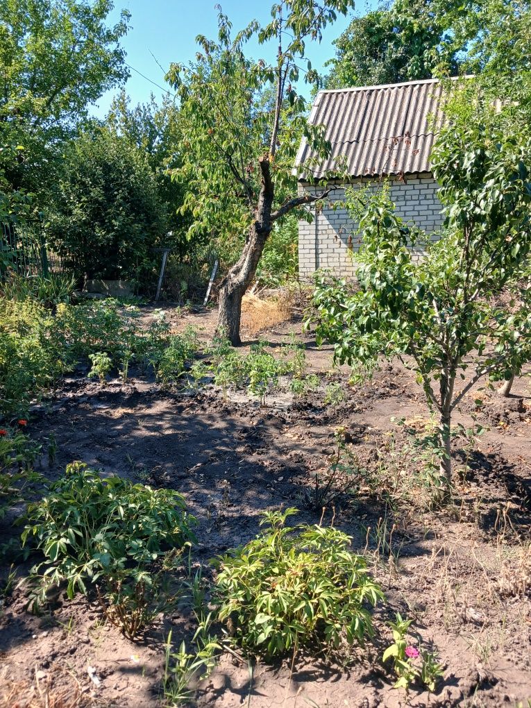 Продам дачу з будинком