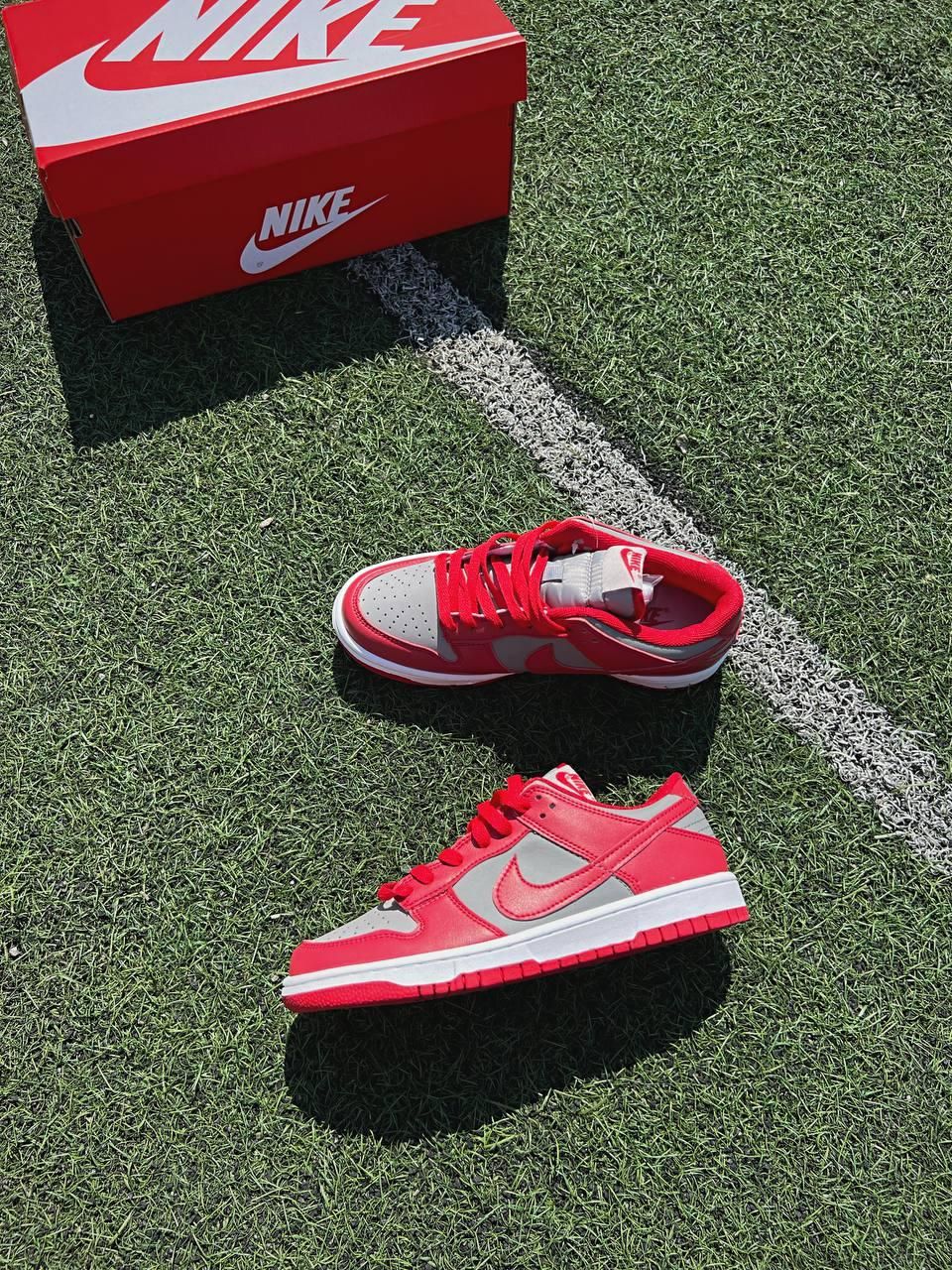 Кроссовки Nike SB Dunk Low Retro Medium Grey Red v2
