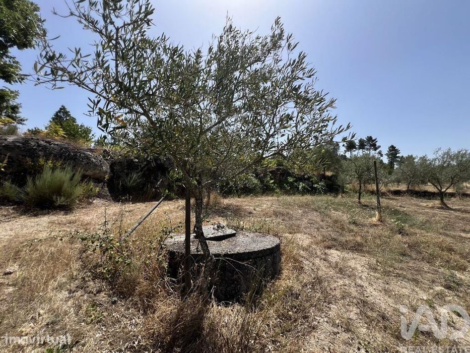 Terreno em Sernancelhe e Sarzeda de 44527,00 m2