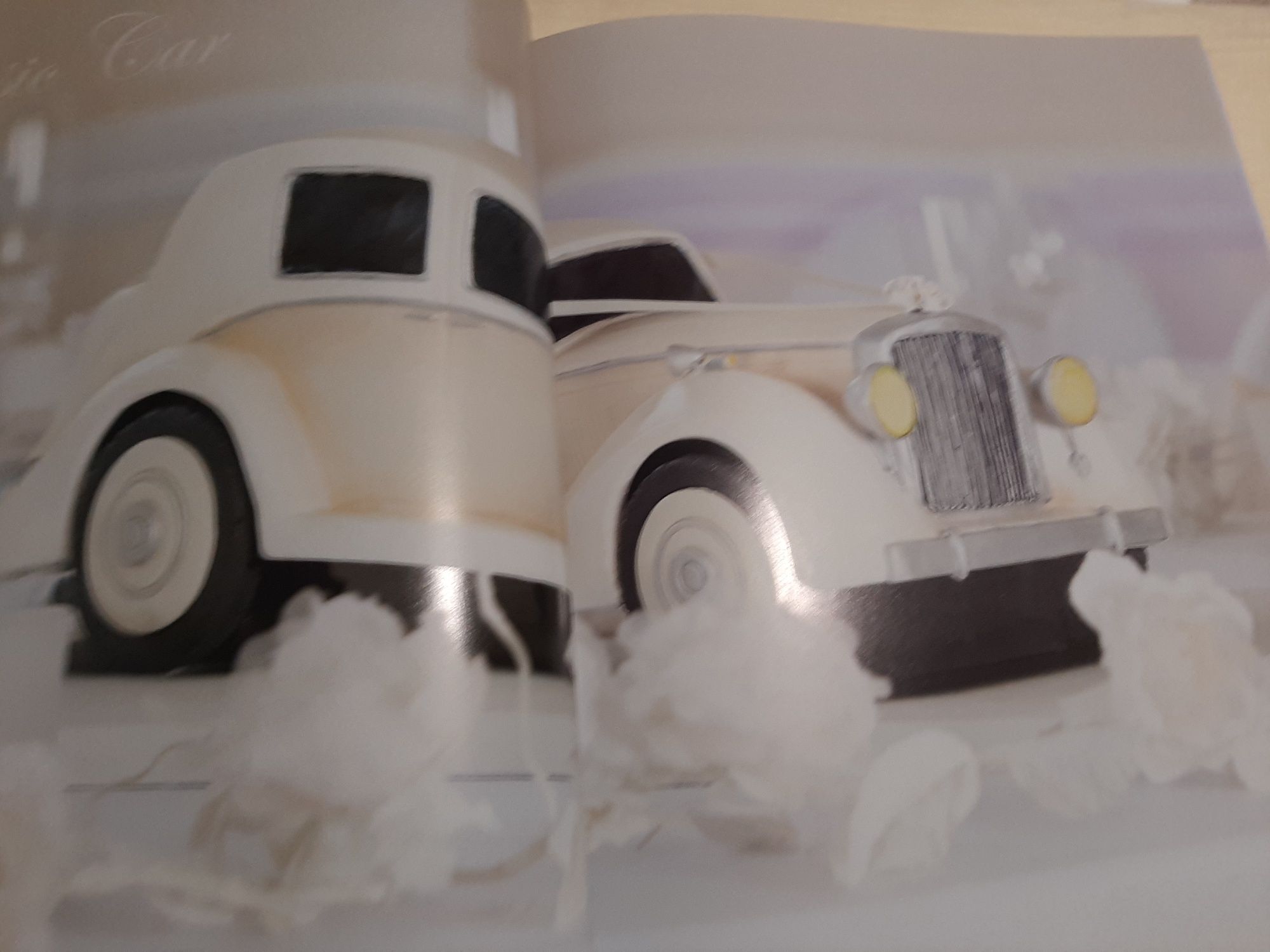 Книга по декору свадебных тортов