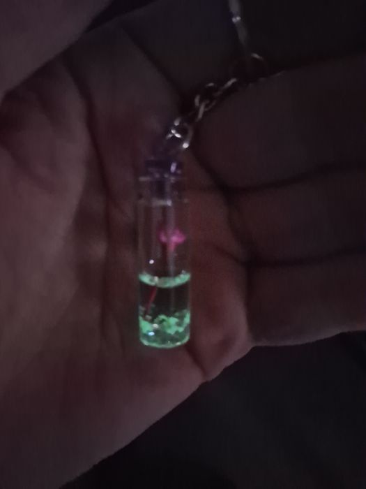 Porta-chaves com rosa em vidro
Apenas 9 €
Porta-chaves em vidro com Ro