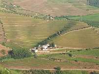 Vende-se Quinta no Douro