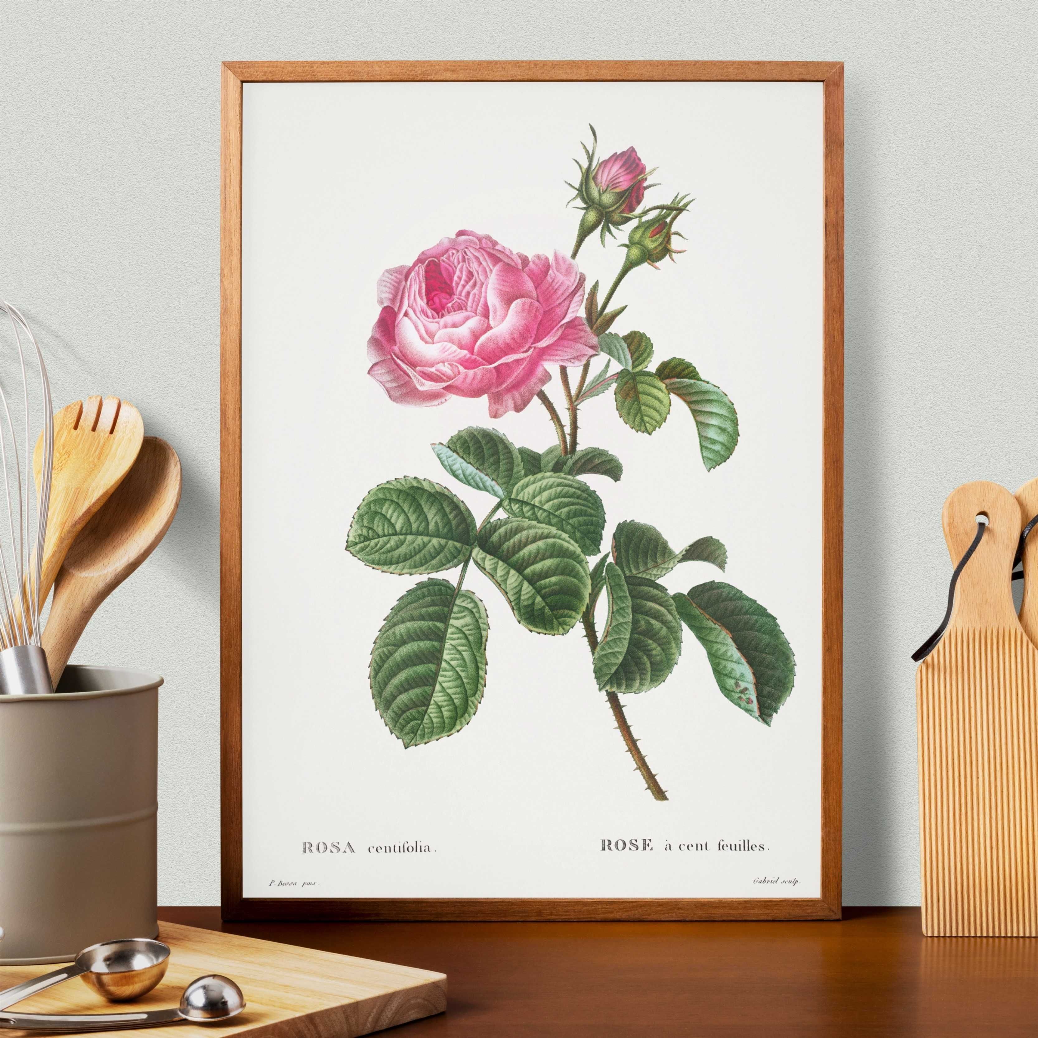 Plakat - 4szt RÓŻE Rośliny boho vintage botaniczne Walentynki