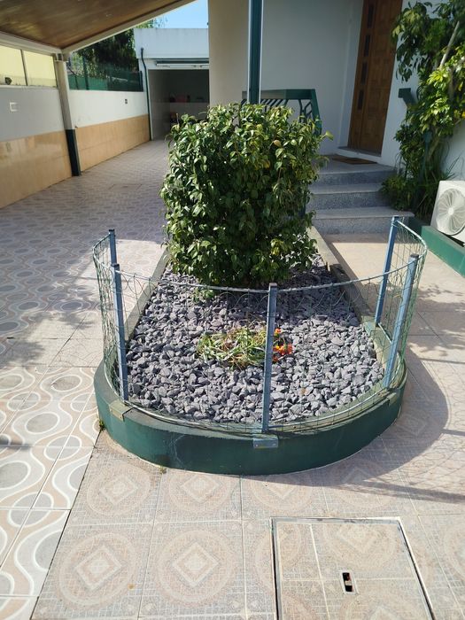Jardineiro construção e manutenção de jardins