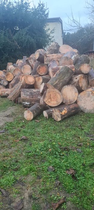 Drewno opałowe sezonowane