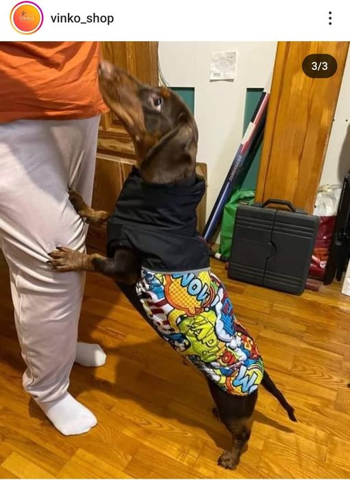 Одяг для собак, жилет зимовий для такси