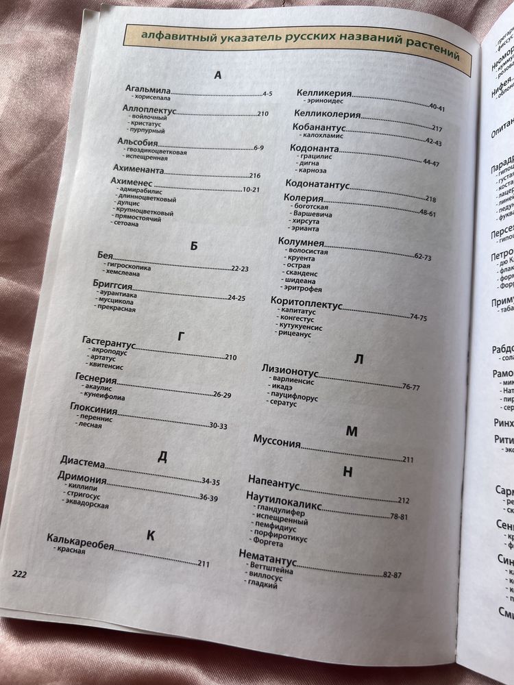Книга о сенполіях, кімнатних фіалках та інших квітах цієї родини