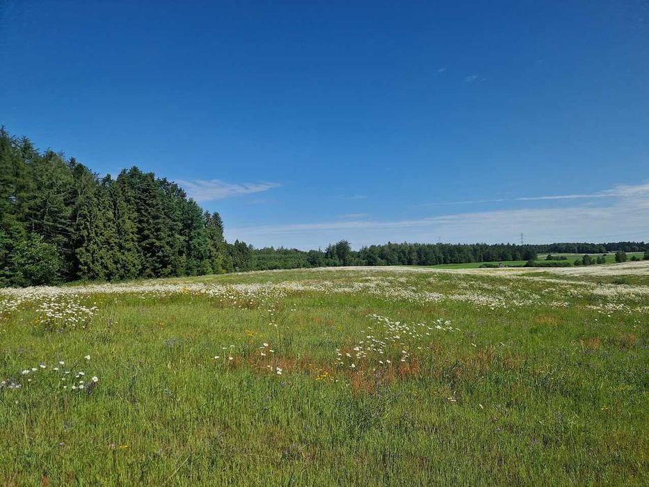 Działka budowlana Kozia Góra