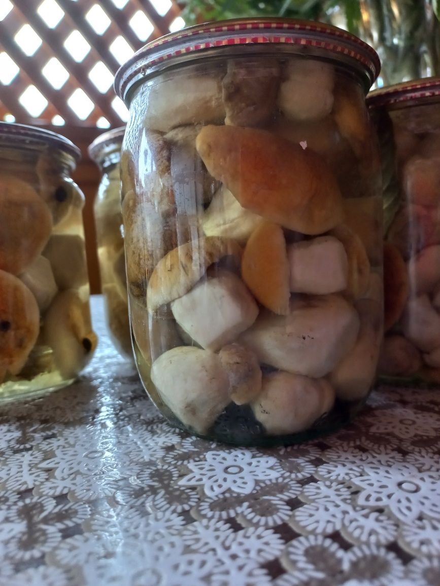 Мариновані білі гриби.