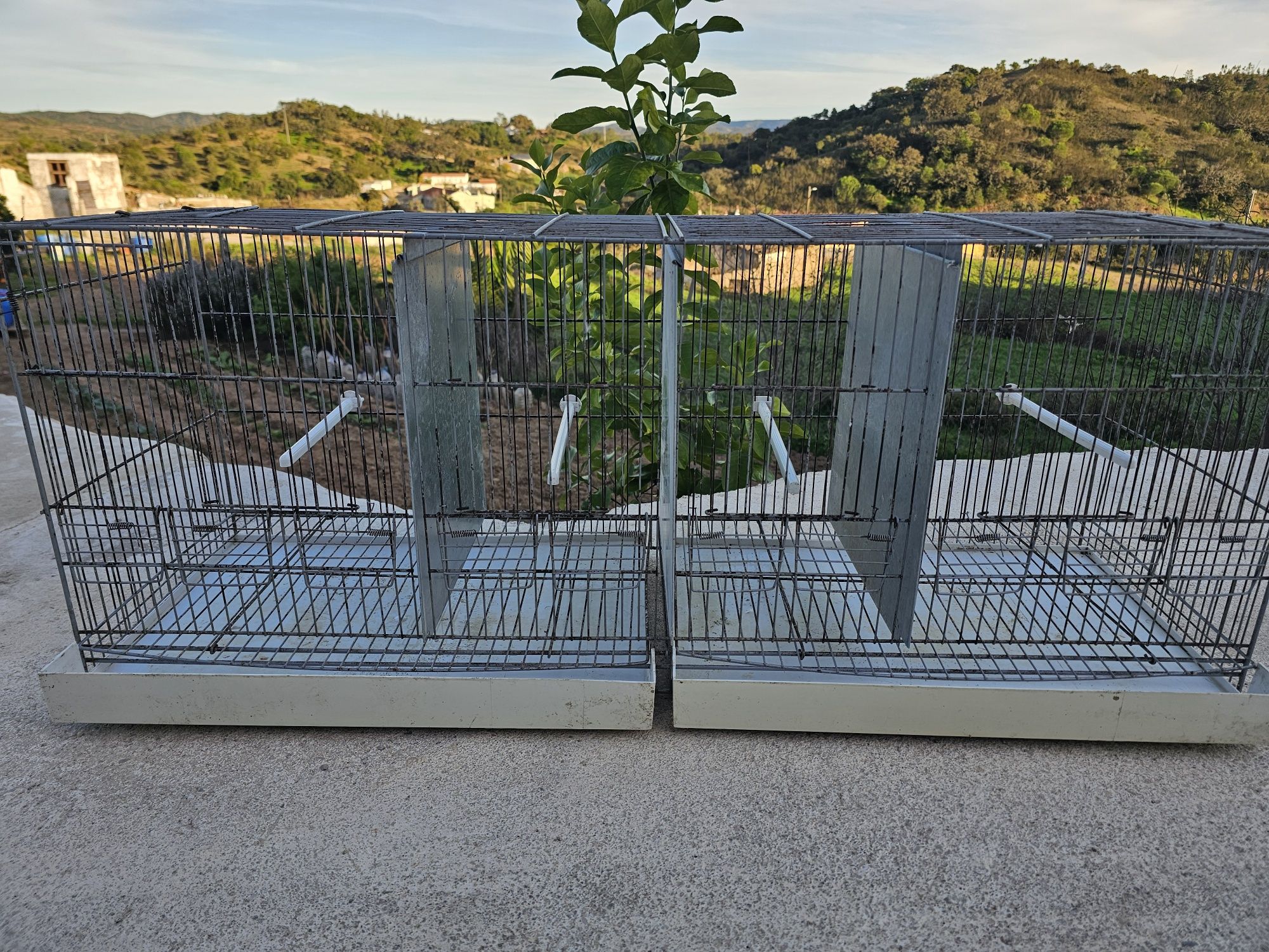 Gaiolas para aves
