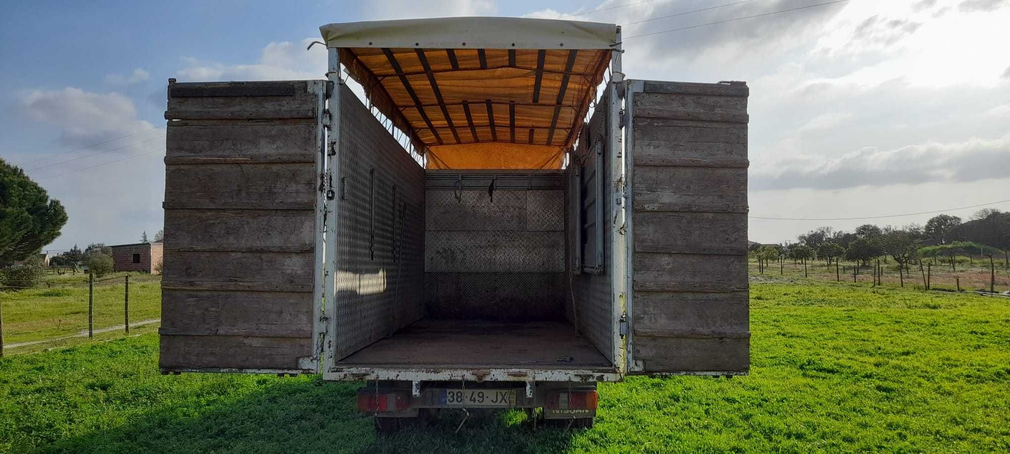 Carrinha Transporte de Cavalos