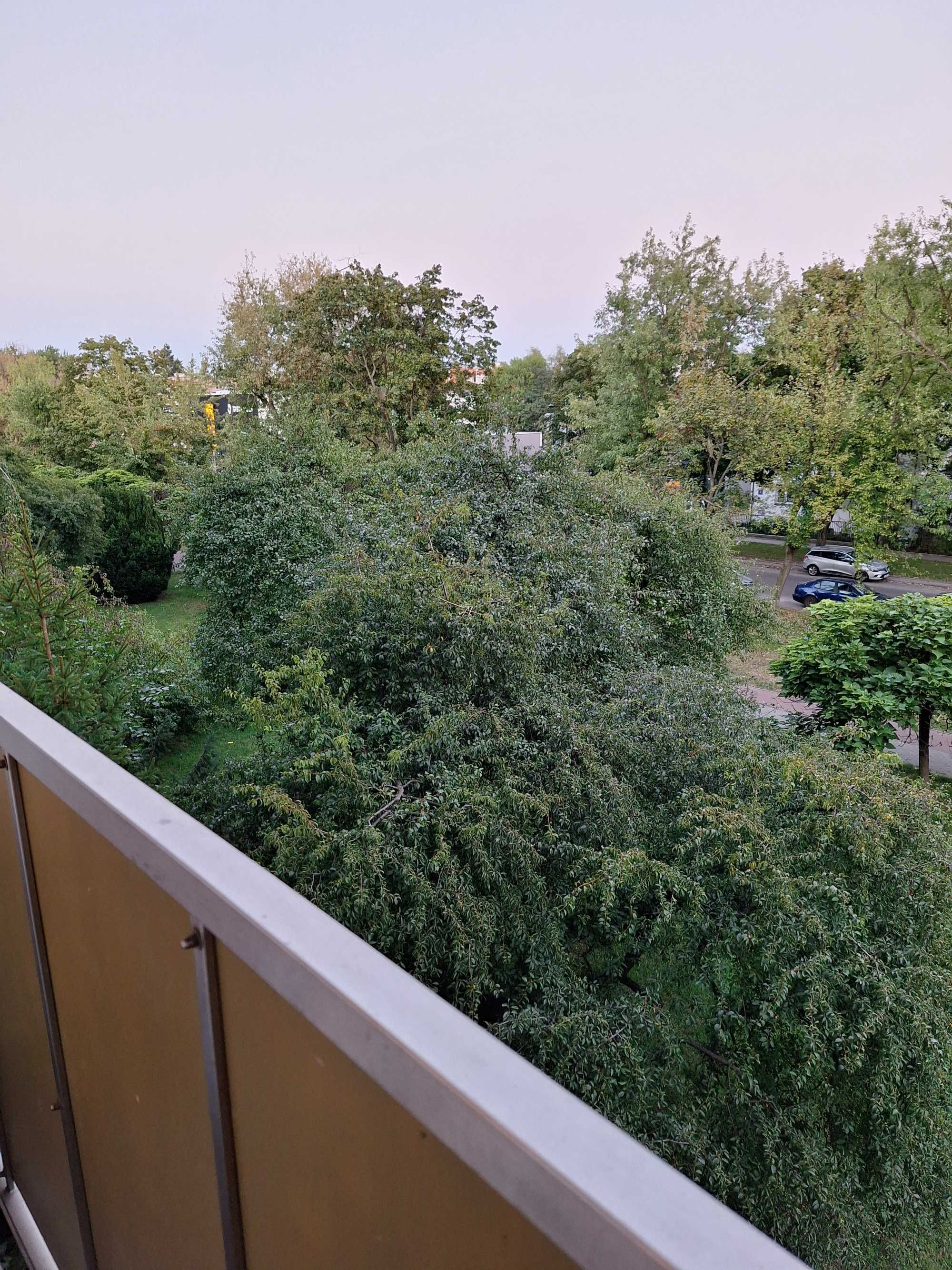 atrakcyjna jasna kawalerka balkon 25 m kw. w zieleni ul. Białowieska