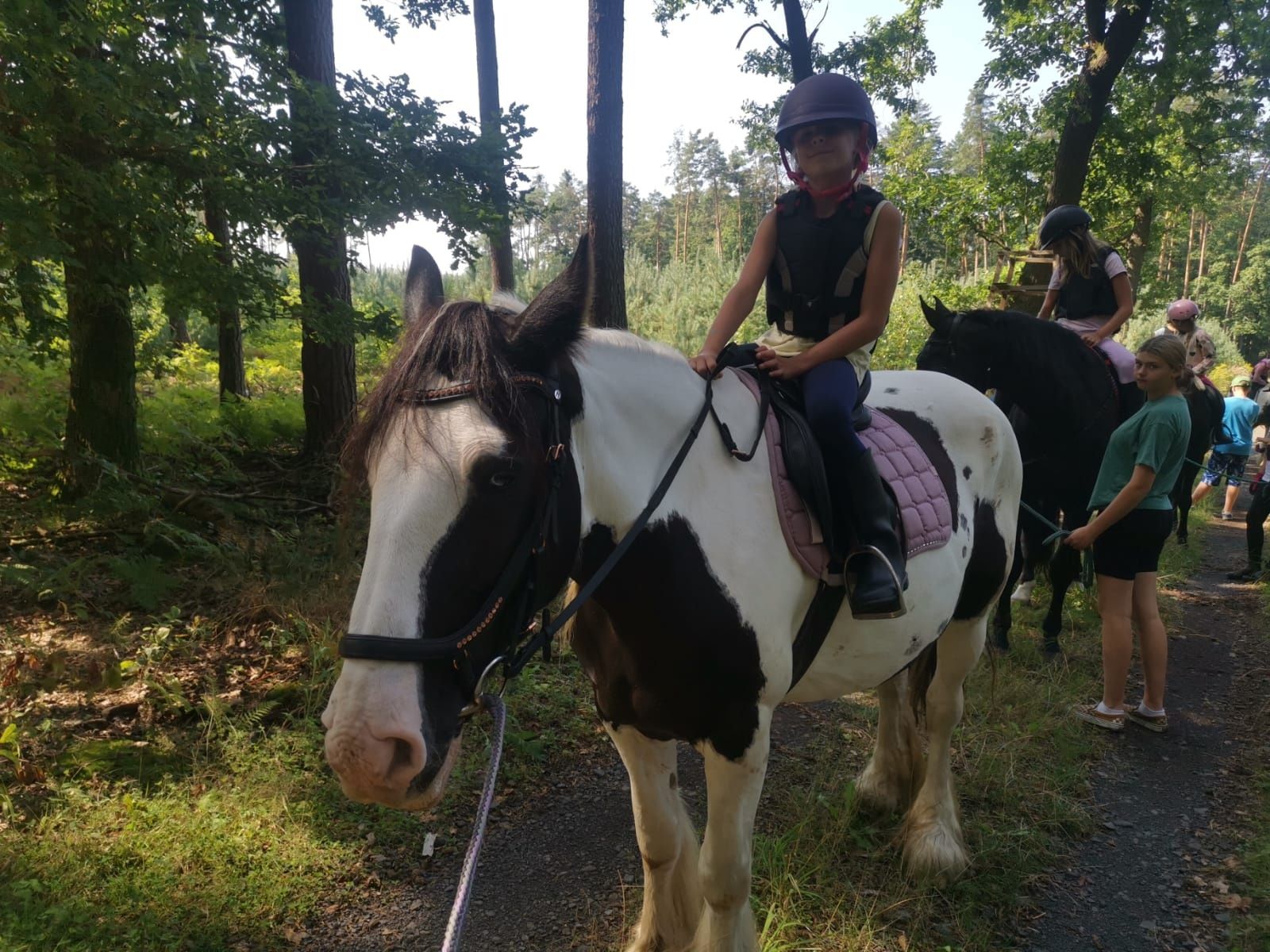 Wysoka, śliczna klacz Tinker/Irish Cob