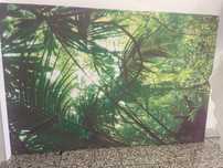 Quadro de floresta