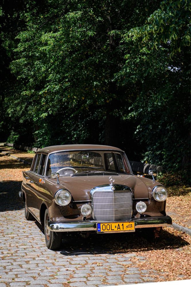 Mercedes W110 oldtimer