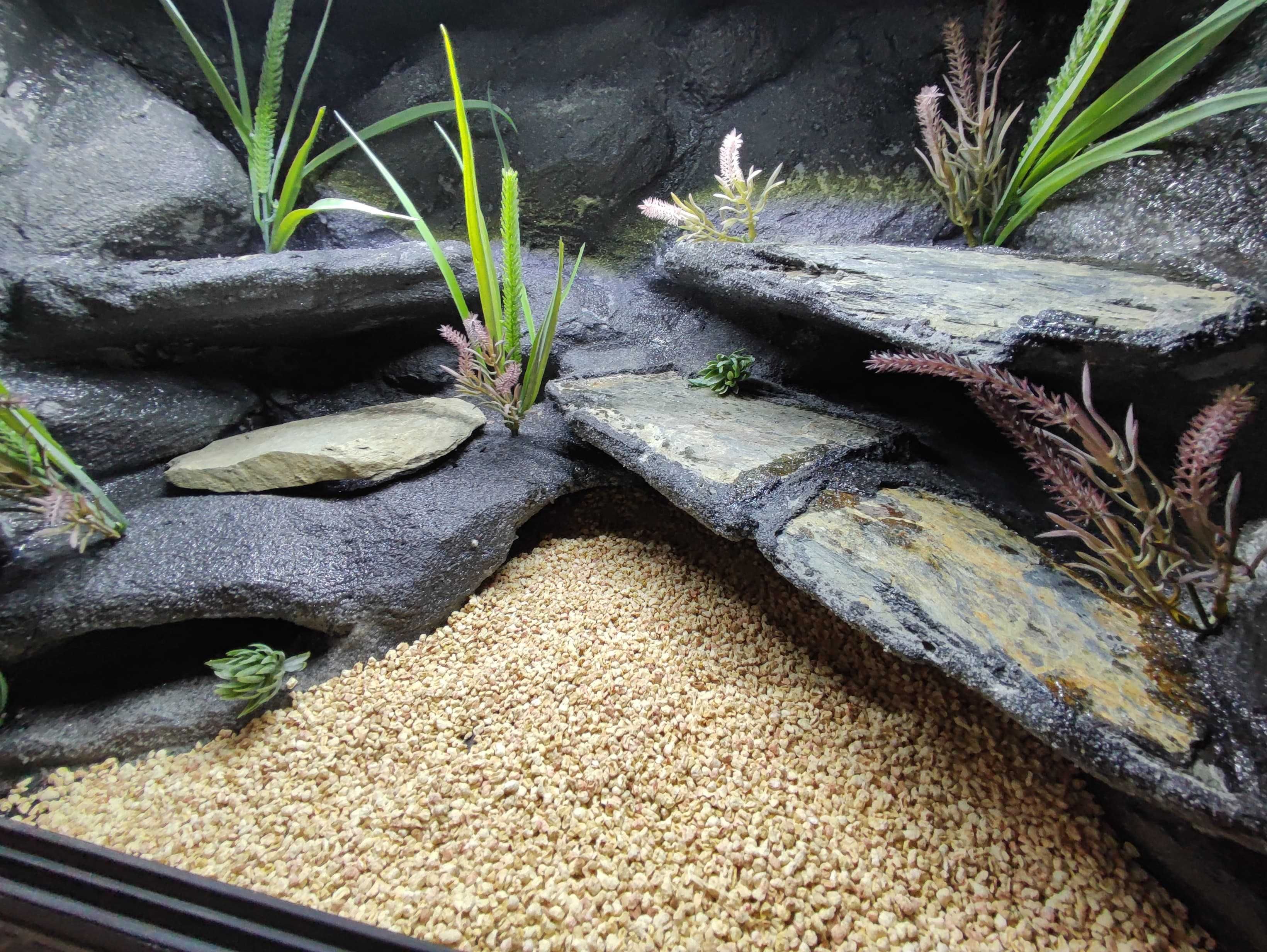 Terrarium pustynne nr739 60/40/40 dla gekona lamparciego DOSTĘPNE