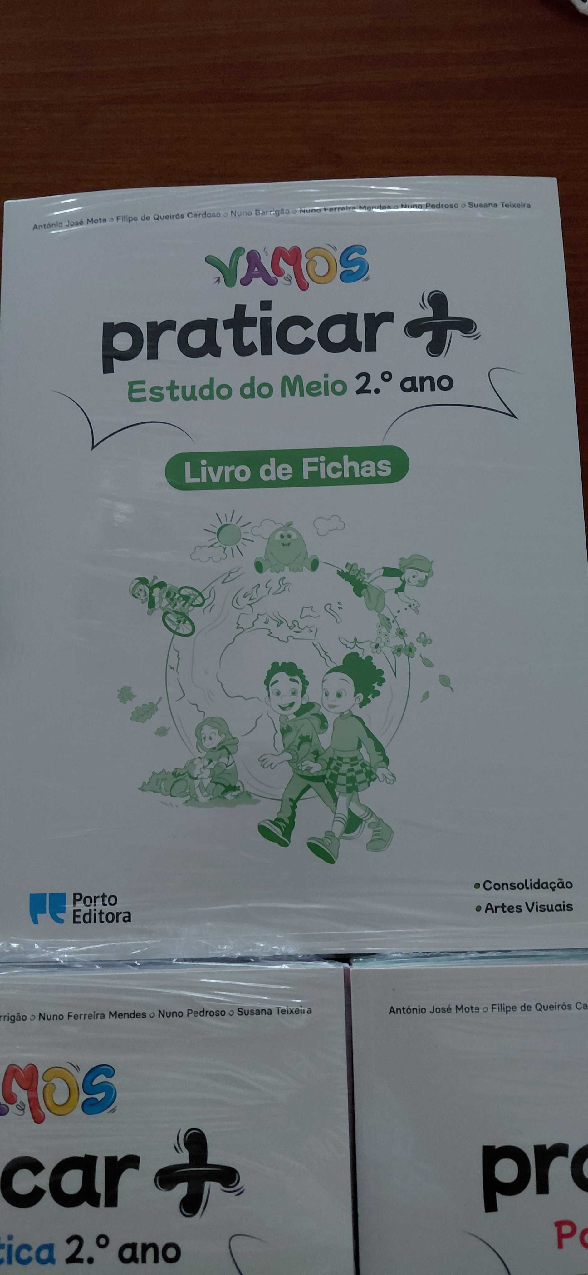 Livros de Fichas 2 ano