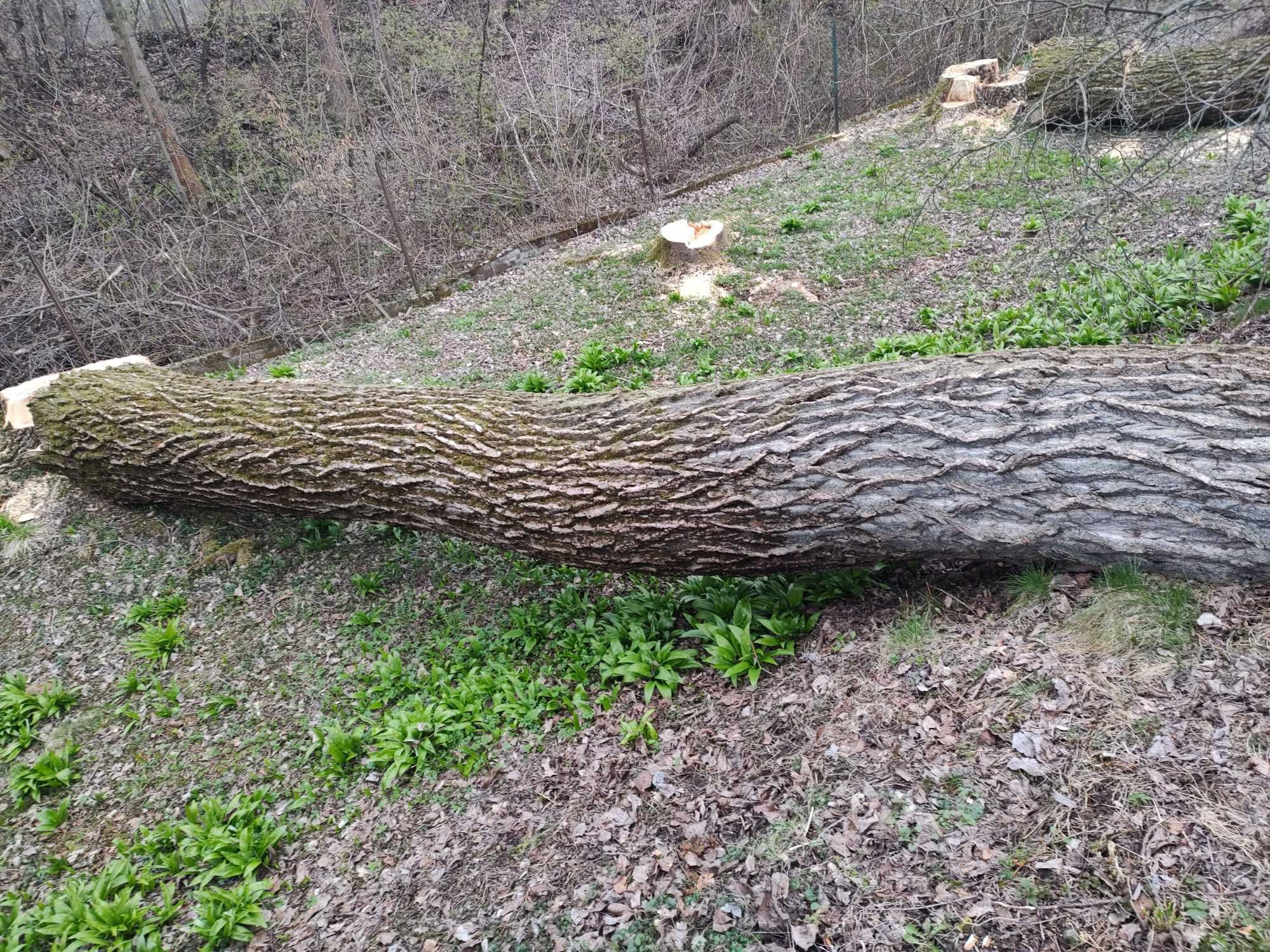 Sprzedam Drewno opałowe