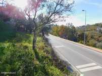 Terreno / Seia, Seia, São Romão e Lapa dos Dinheiros