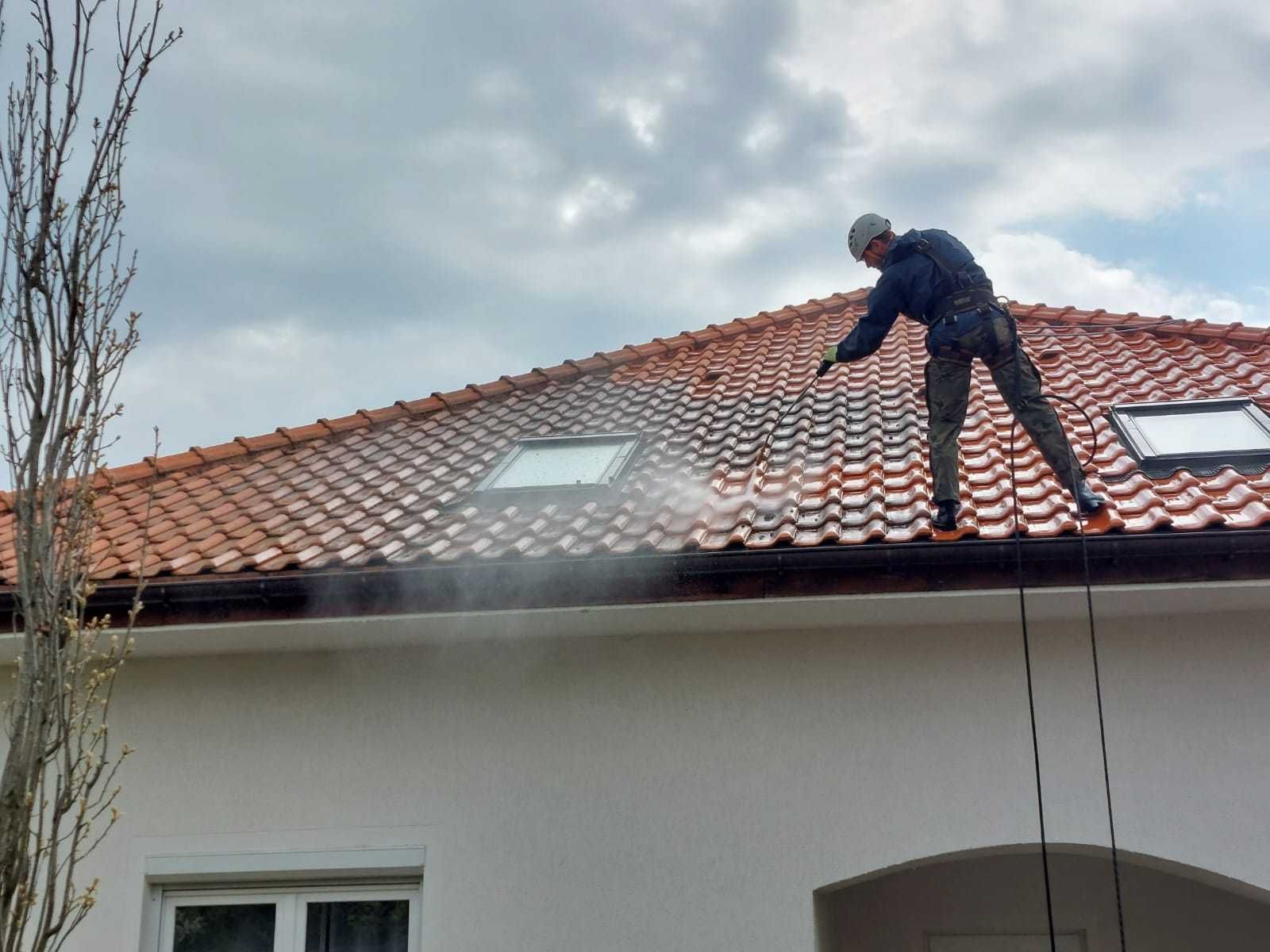 Mycie Czyszczenie Malowanie Dachów Dachu Elewacji Kostki Tarasu