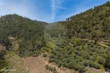 Terreno  para venda