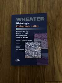 histologia podręcznik i atlas Wheater