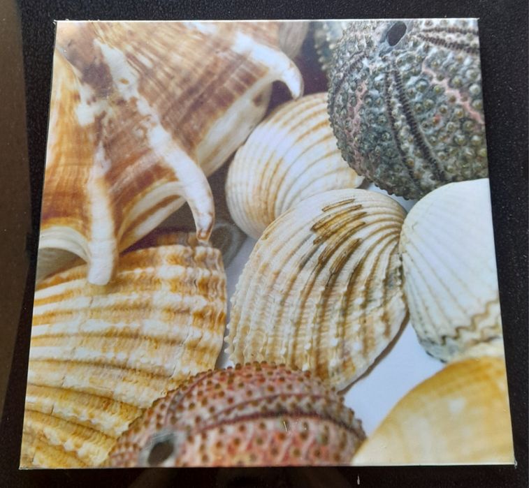 Quadro motivo conchas (DOAR)