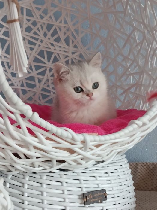 Пухнастий антистресик