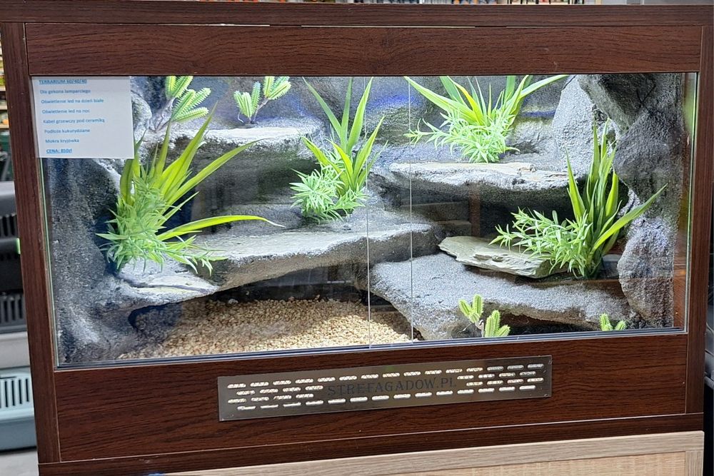 Terrarium dla gekona lamparciego 60x40x40 nowe