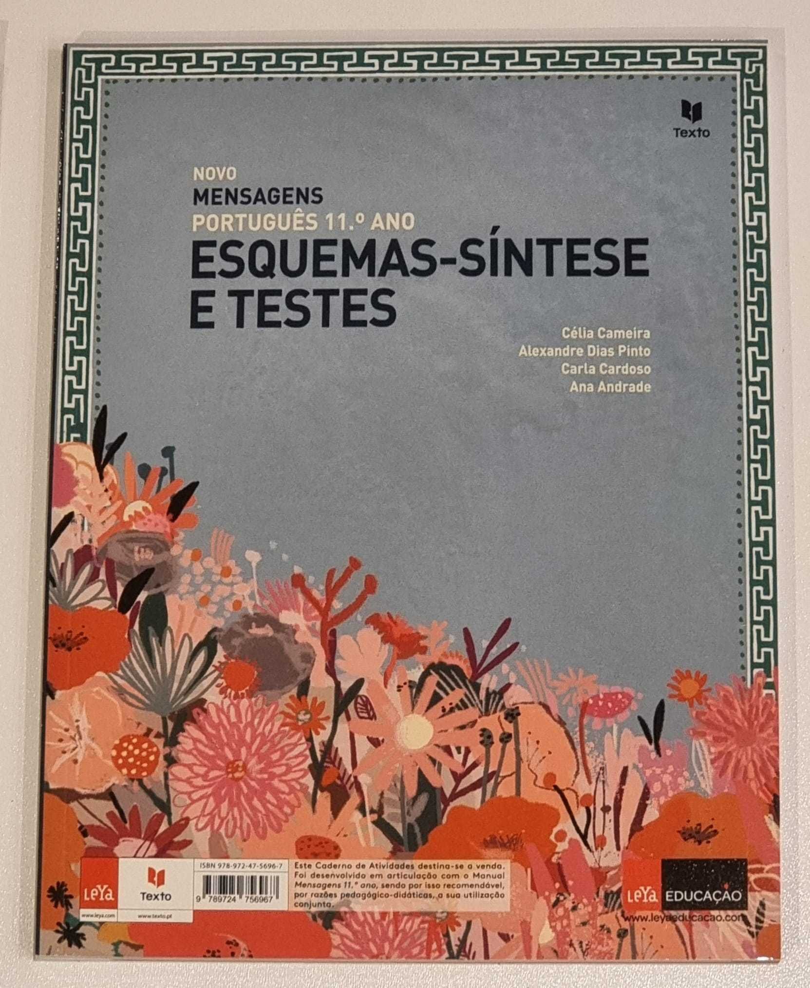 Livros Manuais Cadernos de exercícios e atividades - 11º Ano