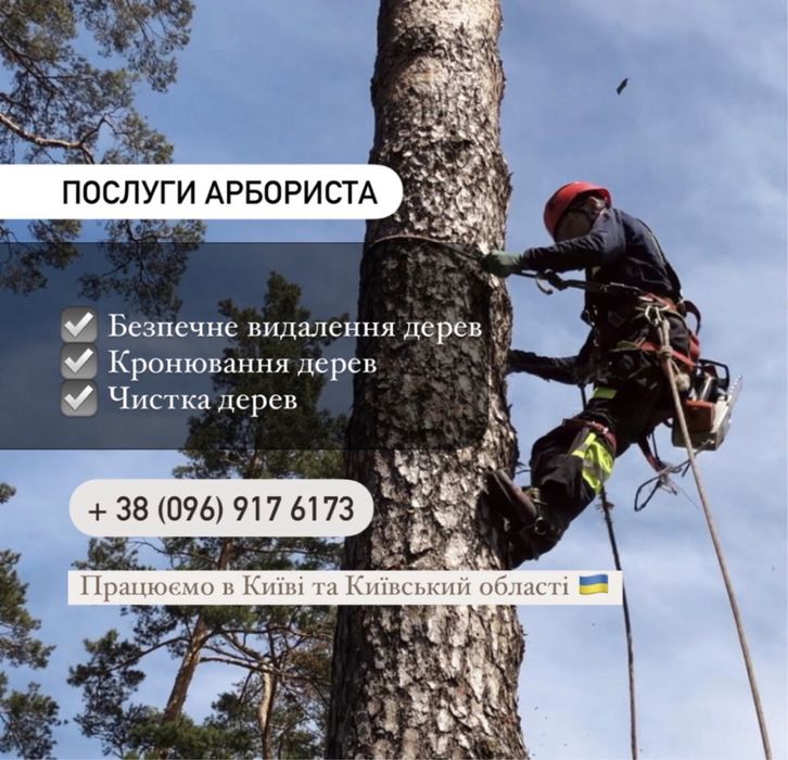 Безопасный спил, удаление, кронировка, чистка деревьев, участка, крыши