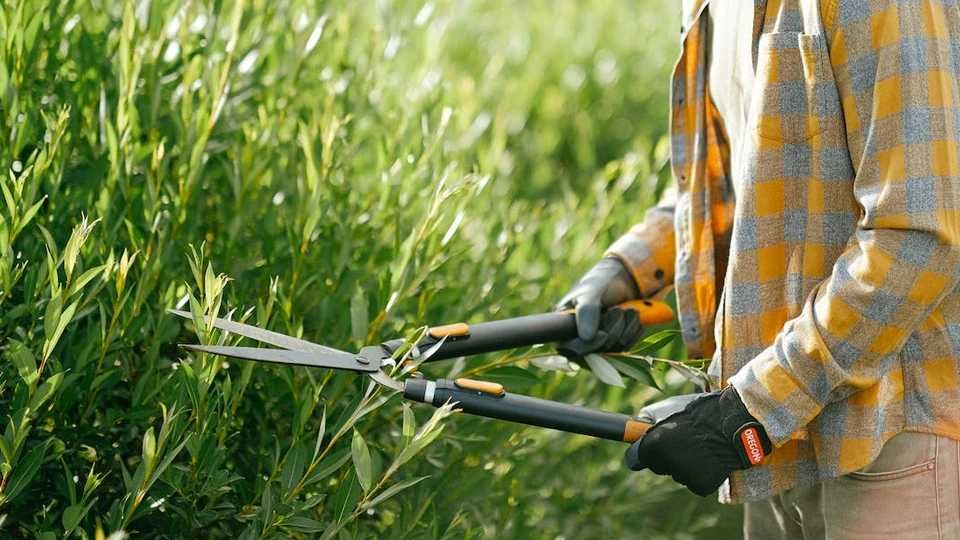 Садівник повний комплекс робіт по саду