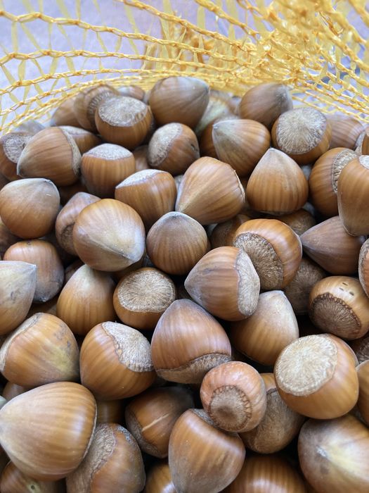 Orzechy laskowe 15zł/kg