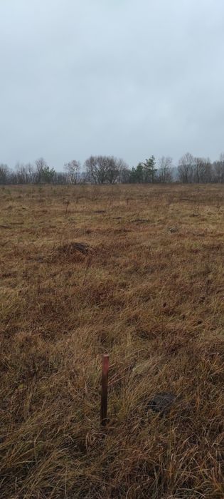 Земельна ділянка село Забороль