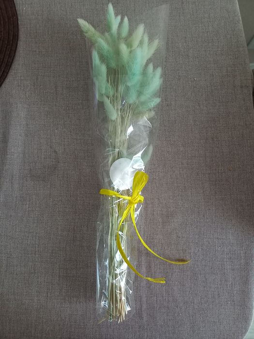 Лагурус натуральний