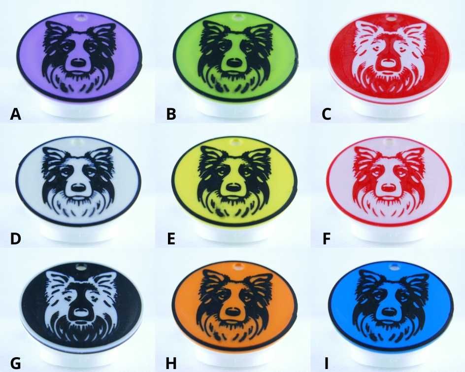 Adresówka dla psa - Border Collie - zawieszka imiennik identyfikator