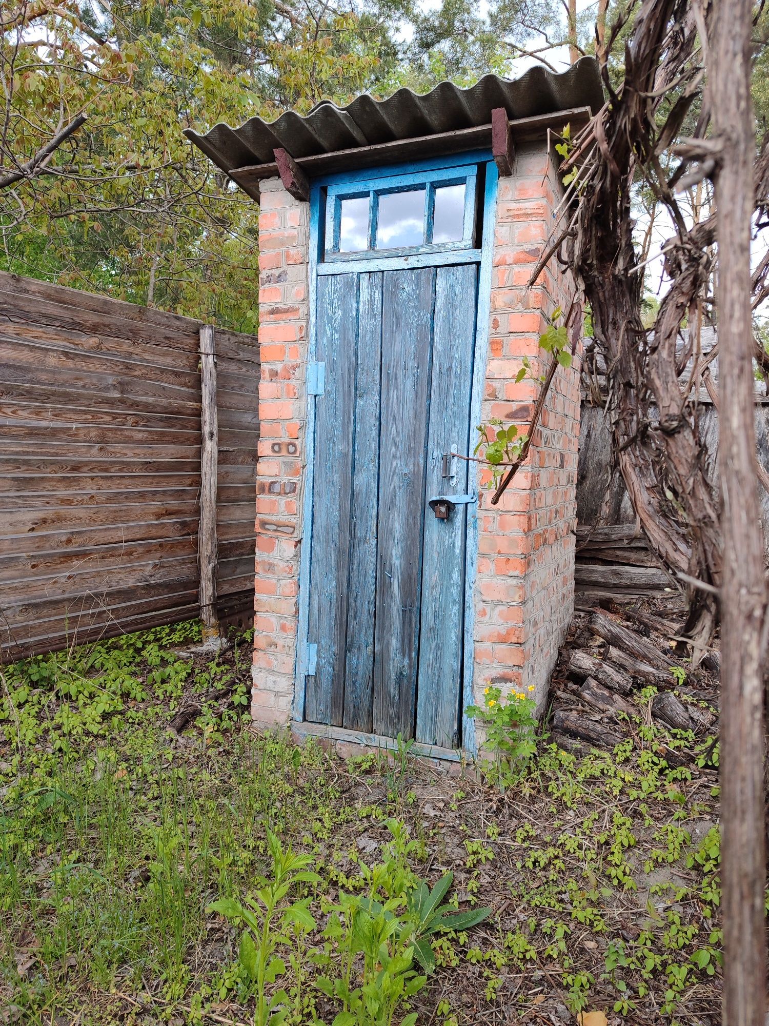 Дача поряд з лісом 8 сот землі