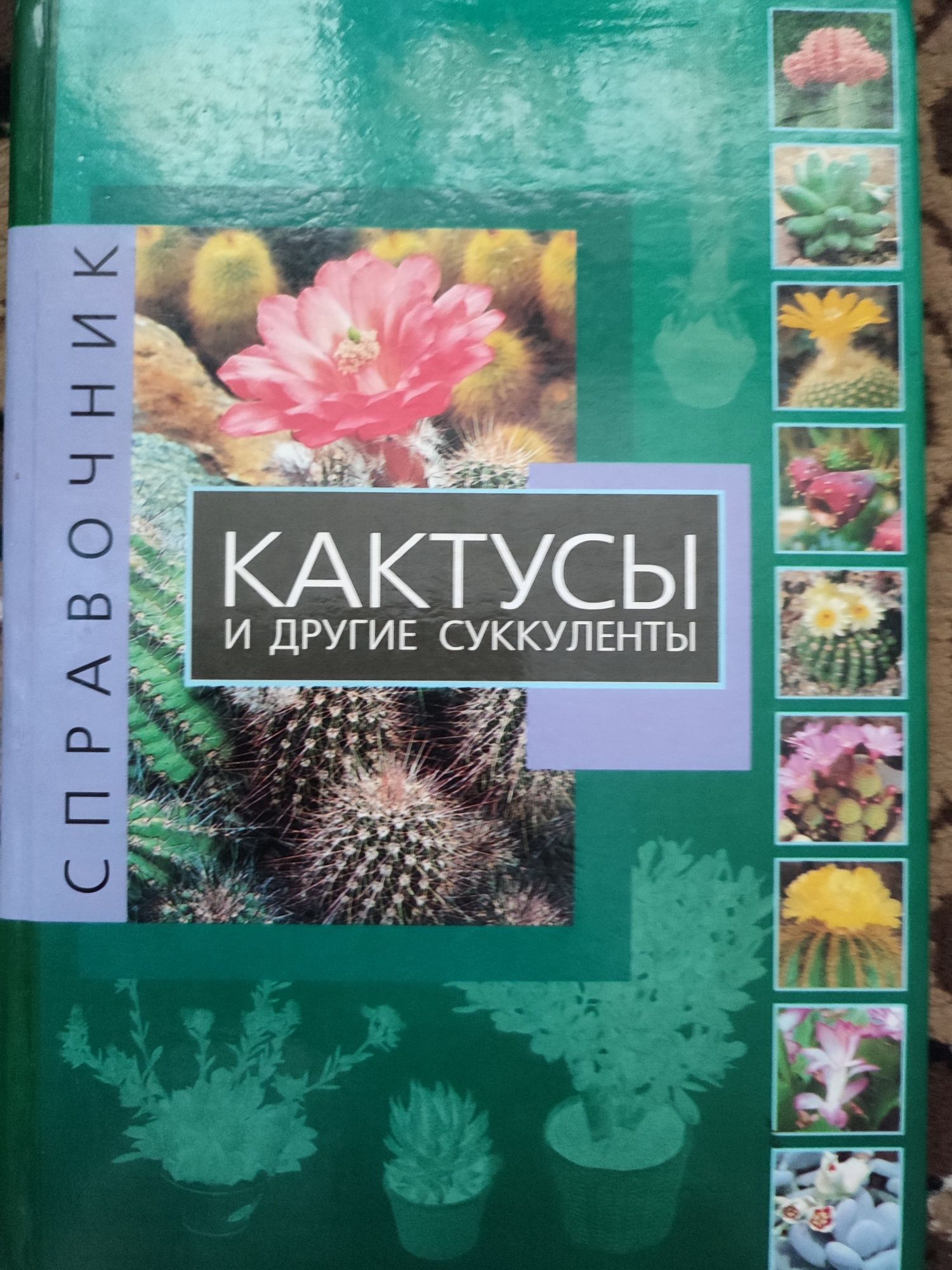 Справочник. Кактусы и другие суккуленты