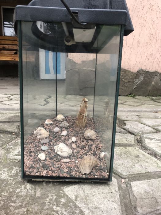 Аквариум со всеми принадлежностями