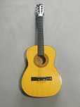 Gitara akustyczna Chantry model 2450 + torba