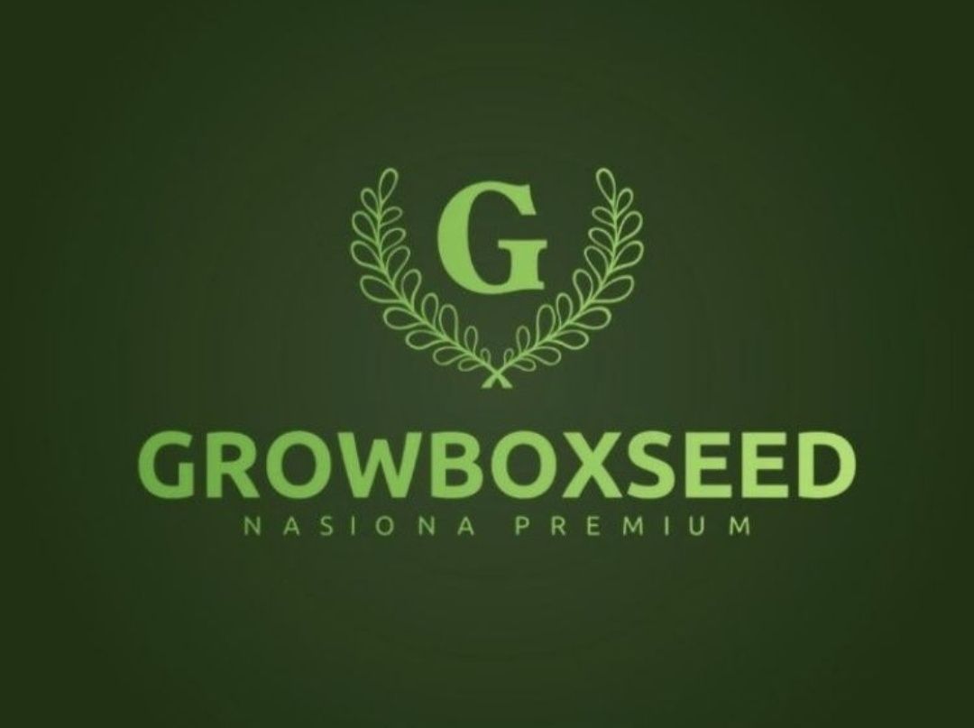 Watermelon Automat 10szt Feminizowane 99,9% Nasiona Marihuany GROWBOX