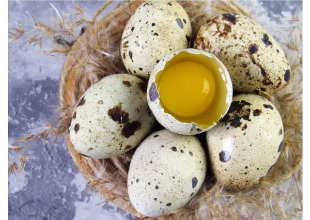 Продам домашние перепелиные яйца