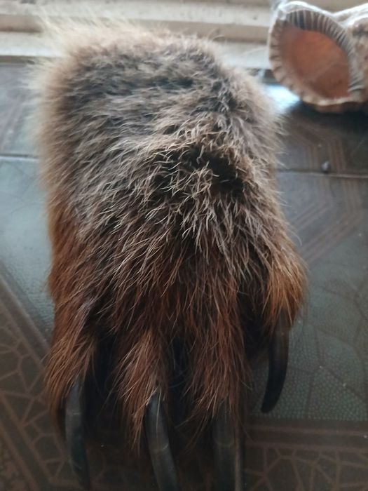 Шкатулка для цінних речей (прикрас)