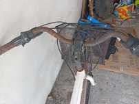 Bicicleta Mulher