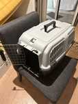 Transportadora de cães/gato