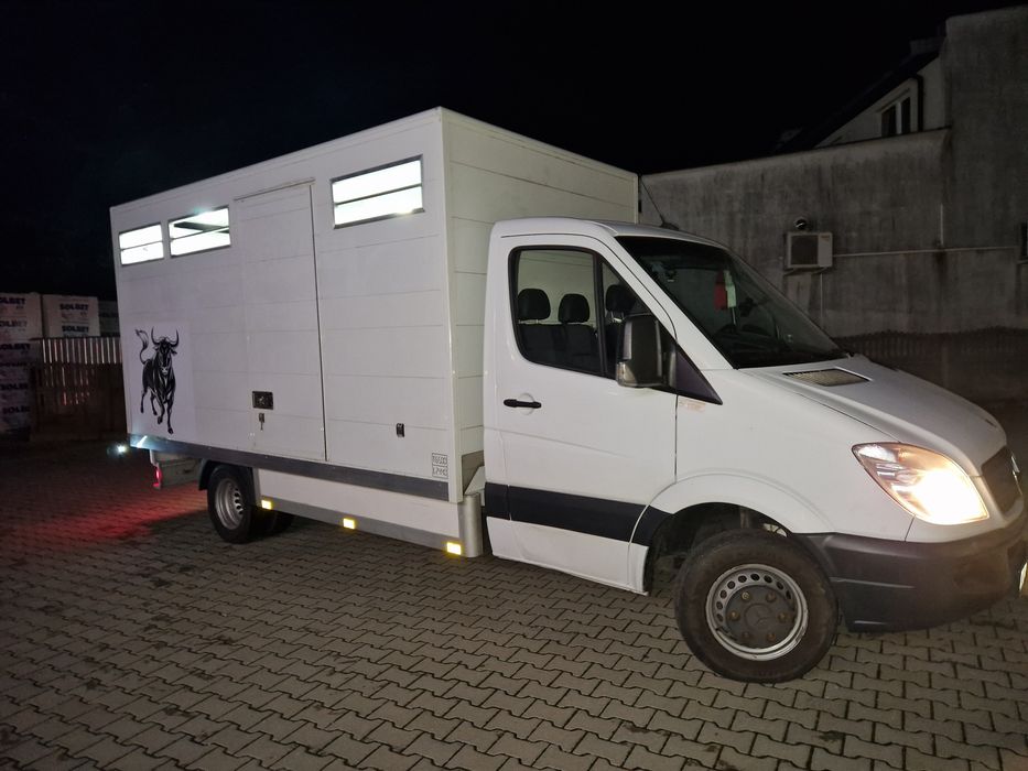 Sprinter do transportu zwierząt zywca bydła