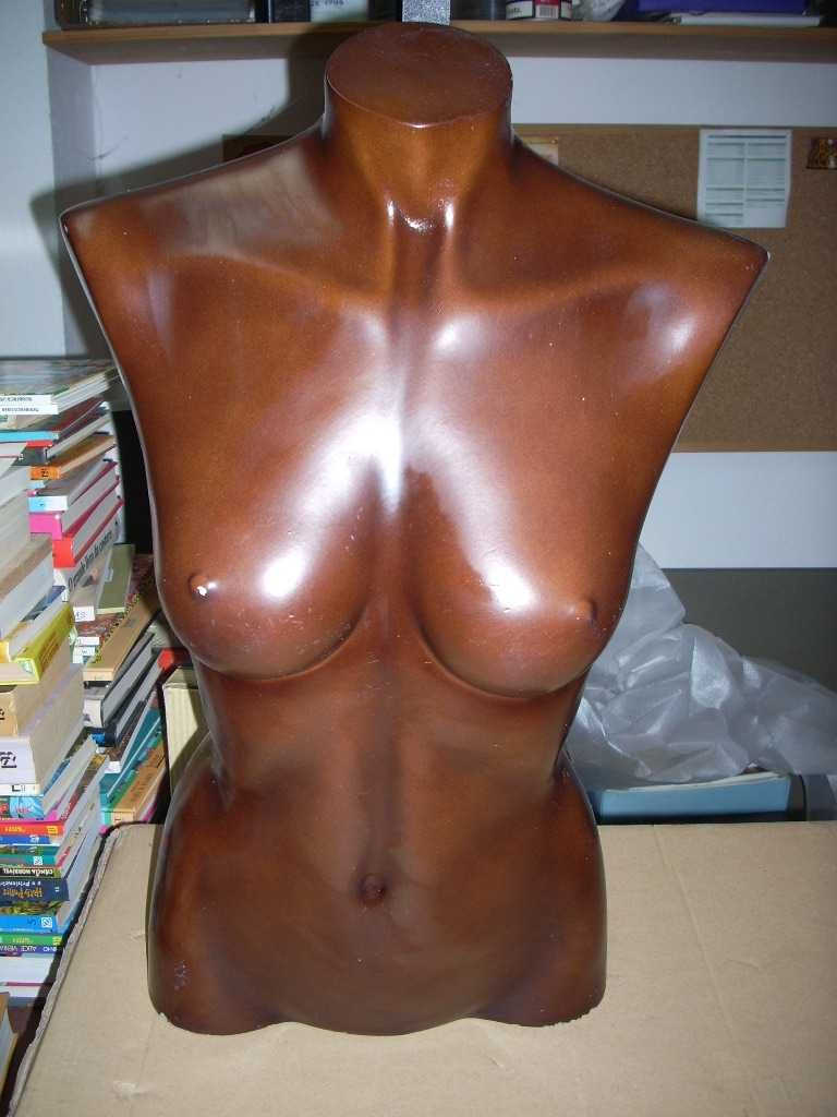 Manequim Torso Feminino Castanho, de parede