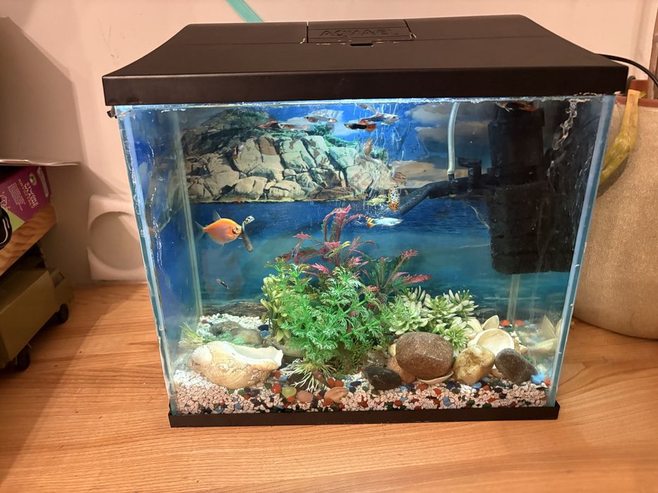 Akwarium dla rybek  z pokrywa i oswietleniem